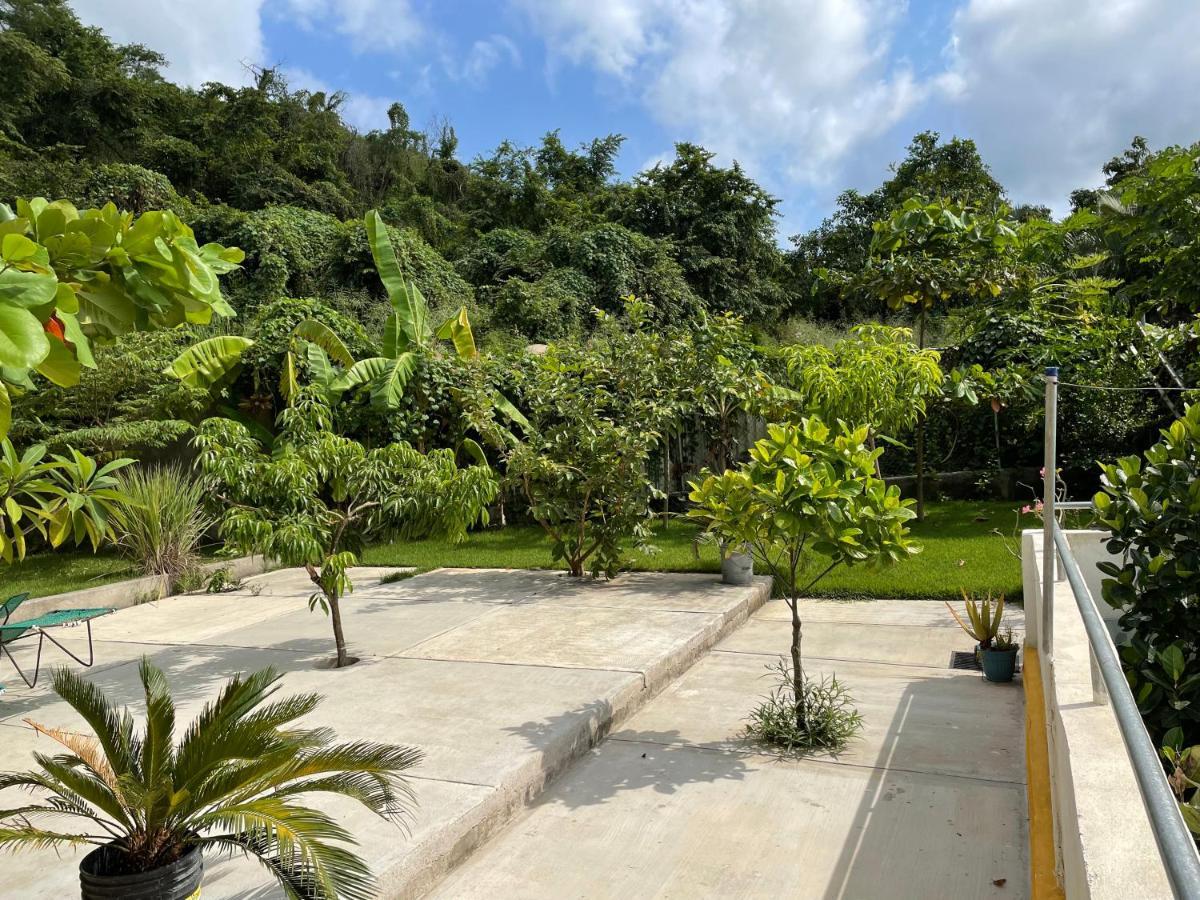 Amanecer Villa Sayulita Bagian luar foto