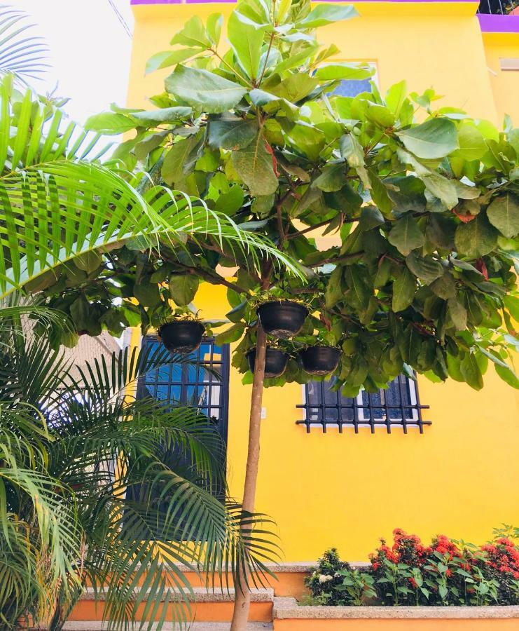 Amanecer Villa Sayulita Bagian luar foto